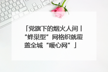 党旗下的烟火人间丨“蜂巢型”网格织就覆盖全城“暖心网”