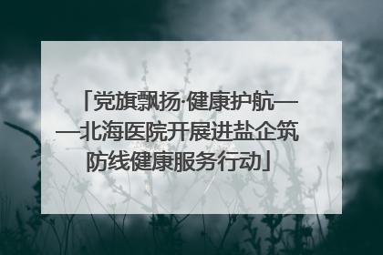 党旗飘扬·健康护航——北海医院开展进盐企筑防线健康服务行动