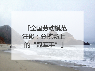 全国劳动模范汪俊：分拣场上的“冠军手”