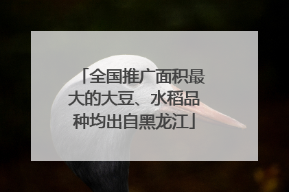 全国推广面积最大的大豆、水稻品种均出自黑龙江