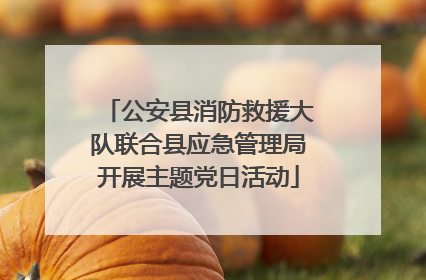公安县消防救援大队联合县应急管理局开展主题党日活动