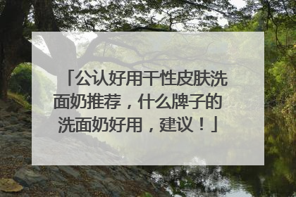 公认好用干性皮肤洗面奶推荐，什么牌子的洗面奶好用，建议！