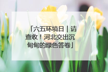 六五环境日｜请查收！河北交出沉甸甸的绿色答卷