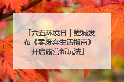 六五环境日｜鲤城发布《零废弃生活指南》开启露营新玩法