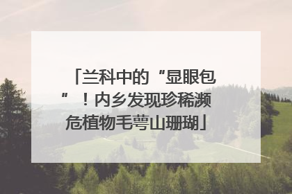 兰科中的“显眼包”！内乡发现珍稀濒危植物毛萼山珊瑚