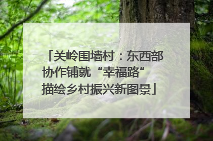 关岭围墙村：东西部协作铺就“幸福路” 描绘乡村振兴新图景