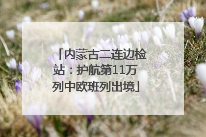 内蒙古二连边检站：护航第11万列中欧班列出境