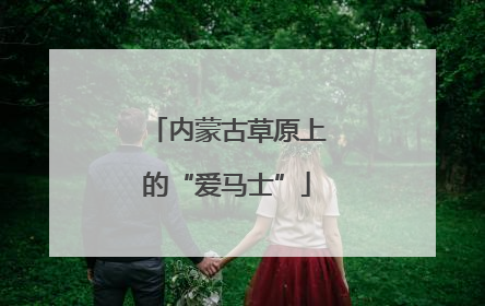 内蒙古草原上的“爱马士”