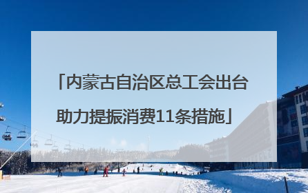 内蒙古自治区总工会出台助力提振消费11条措施