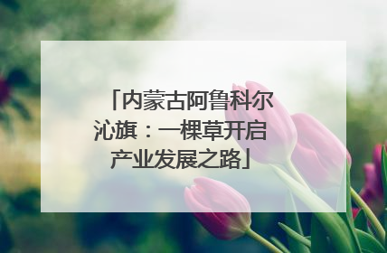 内蒙古阿鲁科尔沁旗：一棵草开启产业发展之路