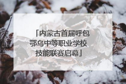 内蒙古首届呼包鄂乌中等职业学校技能联赛启幕