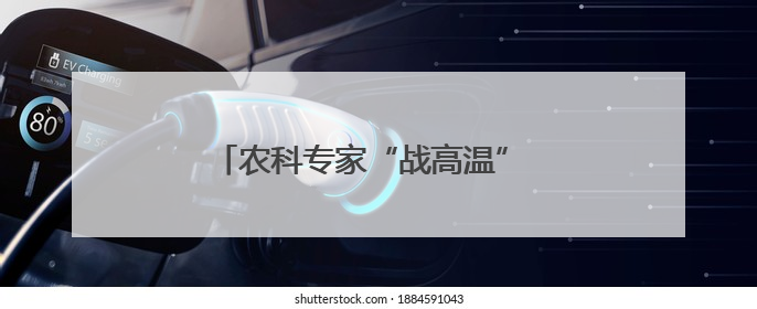 农科专家“战高温” 菇棚送来“清凉策”
