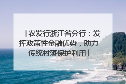 农发行浙江省分行：发挥政策性金融优势，助力传统村落保护利用