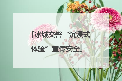 冰城交警“沉浸式体验”宣传安全