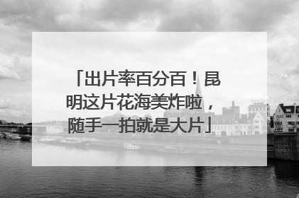 出片率百分百！昆明这片花海美炸啦，随手一拍就是大片