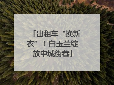 出租车“换新衣”！白玉兰绽放申城街巷
