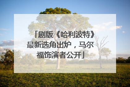 剧版《哈利波特》最新选角出炉，马尔福饰演者公开