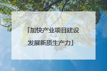 加快产业项目建设 发展新质生产力
