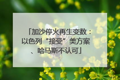 加沙停火再生变数：以色列“接受”美方案、哈马斯不认可