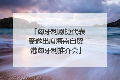 匈牙利恩捷代表受邀出席海南自贸港匈牙利推介会