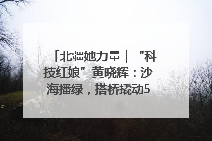 北疆她力量｜“科技红娘”黄晓辉：沙海播绿，搭桥撬动5.3亿研发
