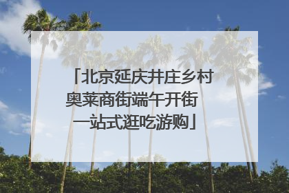 北京延庆井庄乡村奥莱商街端午开街 一站式逛吃游购