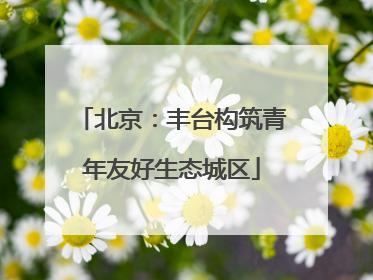 北京：丰台构筑青年友好生态城区