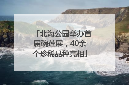 北海公园举办首届碗莲展，40余个珍稀品种亮相