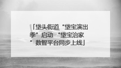 垡头街道“垡宝演出季”启动 “垡宝治家”数智平台同步上线