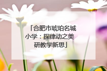 合肥市琥珀名城小学：探律动之美 研教学新思