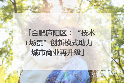 合肥庐阳区：“技术+场景”创新模式助力城市商业再升级