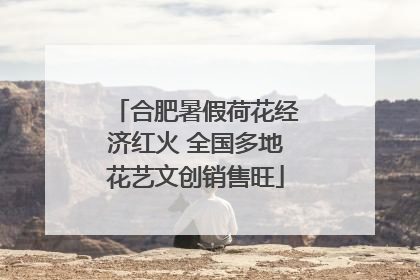 合肥暑假荷花经济红火 全国多地花艺文创销售旺