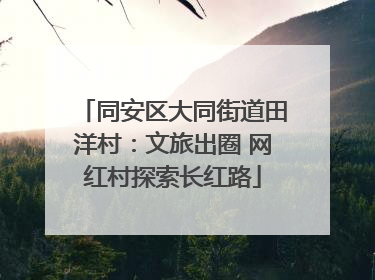 同安区大同街道田洋村：文旅出圈 网红村探索长红路