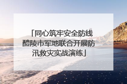 同心筑牢安全防线 醴陵市军地联合开展防汛救灾实战演练