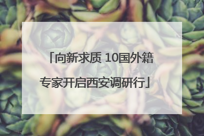 向新求质 10国外籍专家开启西安调研行