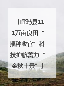 呼玛县111万亩良田“播种收官”科技护航蓄力“金秋丰景”