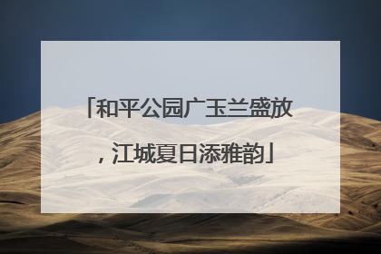 和平公园广玉兰盛放，江城夏日添雅韵