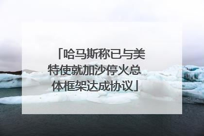 哈马斯称已与美特使就加沙停火总体框架达成协议