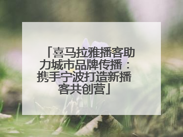 喜马拉雅播客助力城市品牌传播：携手宁波打造新播客共创营