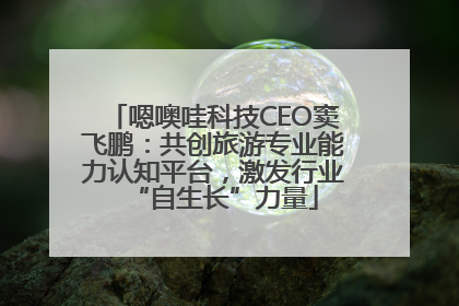 嗯噢哇科技CEO窦飞鹏：共创旅游专业能力认知平台，激发行业“自生长”力量