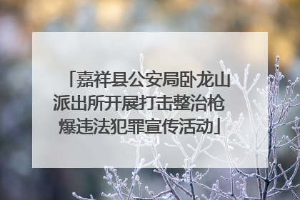 嘉祥县公安局卧龙山派出所开展打击整治枪爆违法犯罪宣传活动