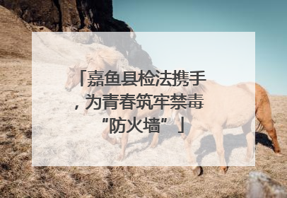 嘉鱼县检法携手，为青春筑牢禁毒“防火墙”