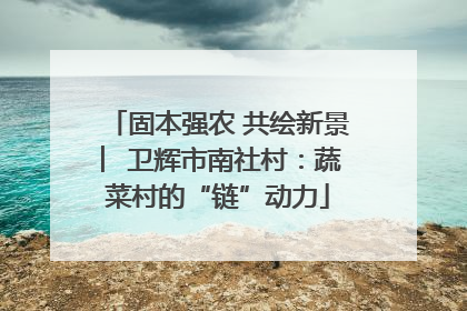 固本强农 共绘新景 ︳卫辉市南社村：蔬菜村的“链”动力