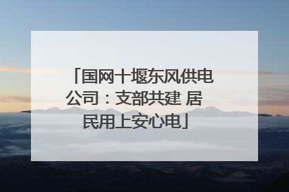 国网十堰东风供电公司：支部共建 居民用上安心电