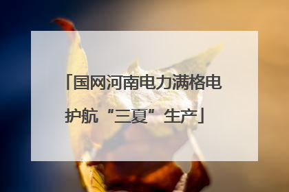 国网河南电力满格电护航“三夏”生产