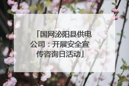 国网泌阳县供电公司：开展安全宣传咨询日活动