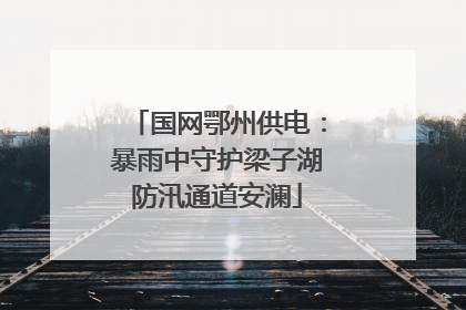 国网鄂州供电：暴雨中守护梁子湖防汛通道安澜