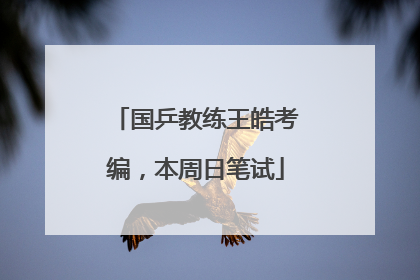 国乒教练王皓考编，本周日笔试