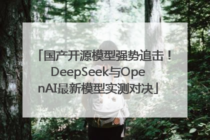 国产开源模型强势追击！DeepSeek与OpenAI最新模型实测对决