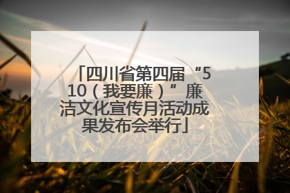 四川省第四届“510（我要廉）”廉洁文化宣传月活动成果发布会举行